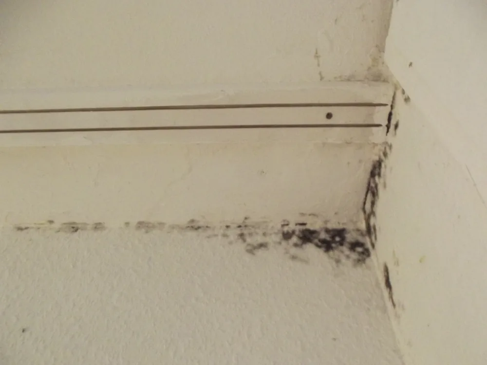 Technician in protective gear removing a mold-damaged wall in a Joelton home